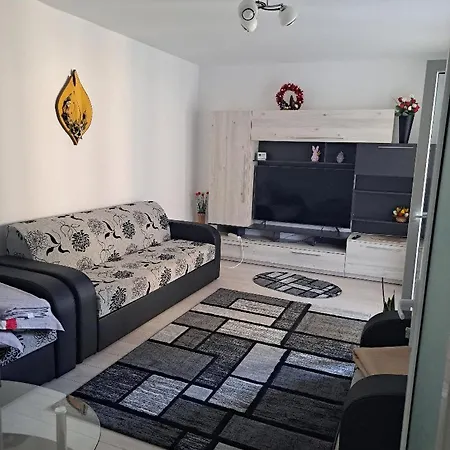 Apartament Ioana *