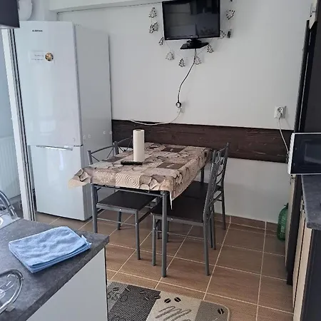 Ioana Apartament